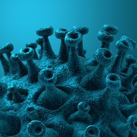 Uzmanından korkutan uyarı! Adeta hedef tahtası