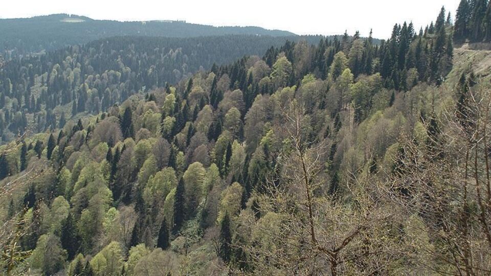 Erozyonla mücadelede milli seferberlik