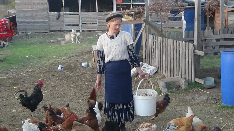 Amerika'dan gelip Kaz Dağları'na yerleştiler!