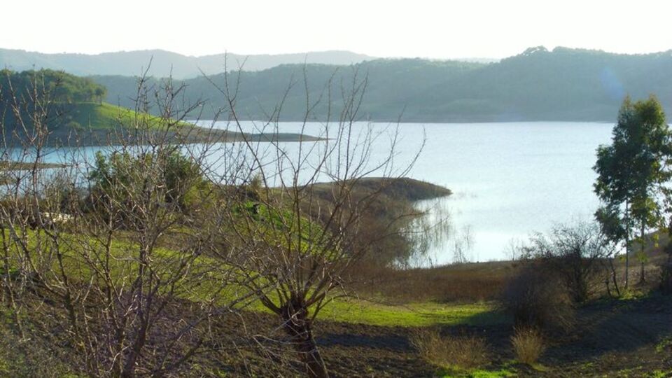 Seyhan Baraj Gölü kayısına kısıtlama