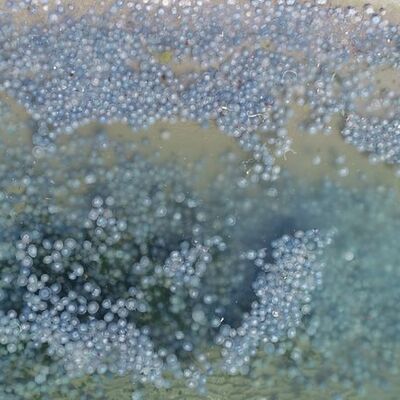 Geçen hafta Çengelköy, bu hafta Avcılar...