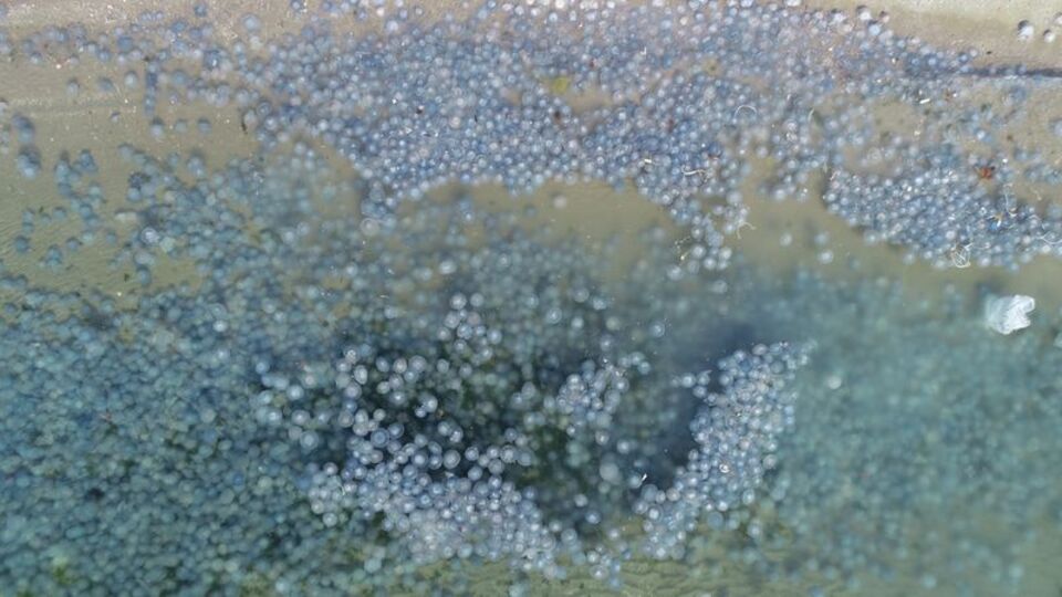 Geçen hafta Çengelköy, bu hafta Avcılar...