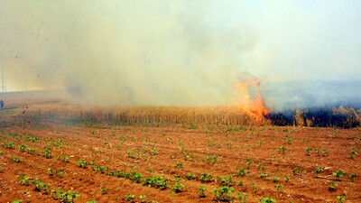 Tarlada alevlerin arasında kalan bebek hayatını kaybetti!