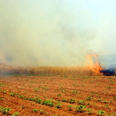Tarlada alevlerin arasında kalan bebek hayatını kaybetti!