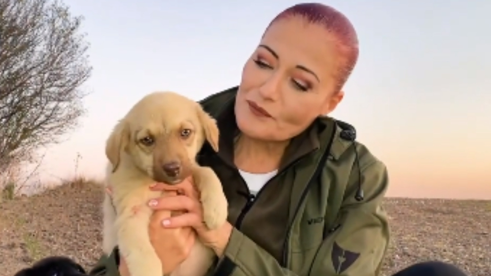 "Onu sokağa bırakmak, ölüme bırakmak gibi"