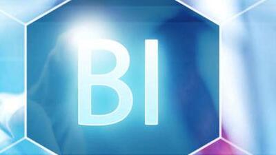 BI kavramının açılımı ve anlamı