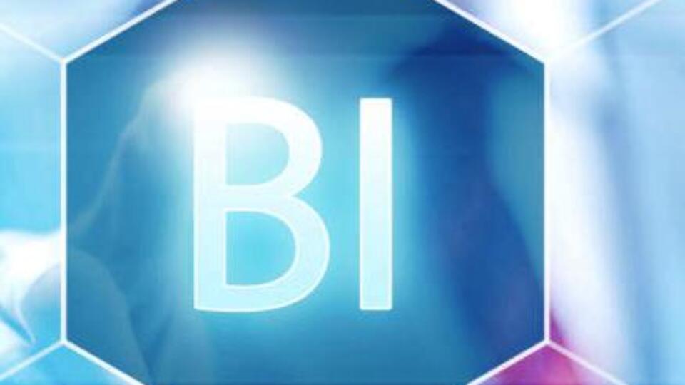 BI kavramının açılımı ve anlamı