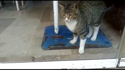 Kısıtlamada restoranda mahsur kaldı