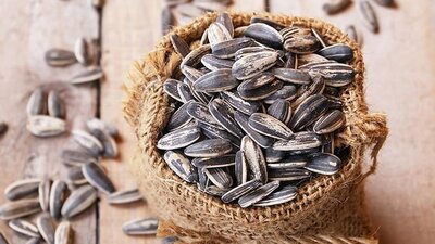 Çekirdeğin şaşırtan faydaları