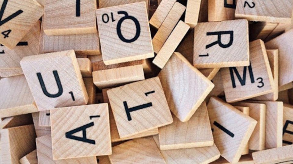 Racism Türkçe ne demek?