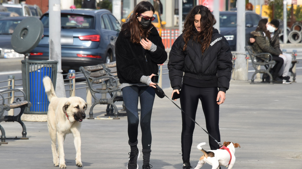 "Oscar'ı yakında sahiplendireceğiz"