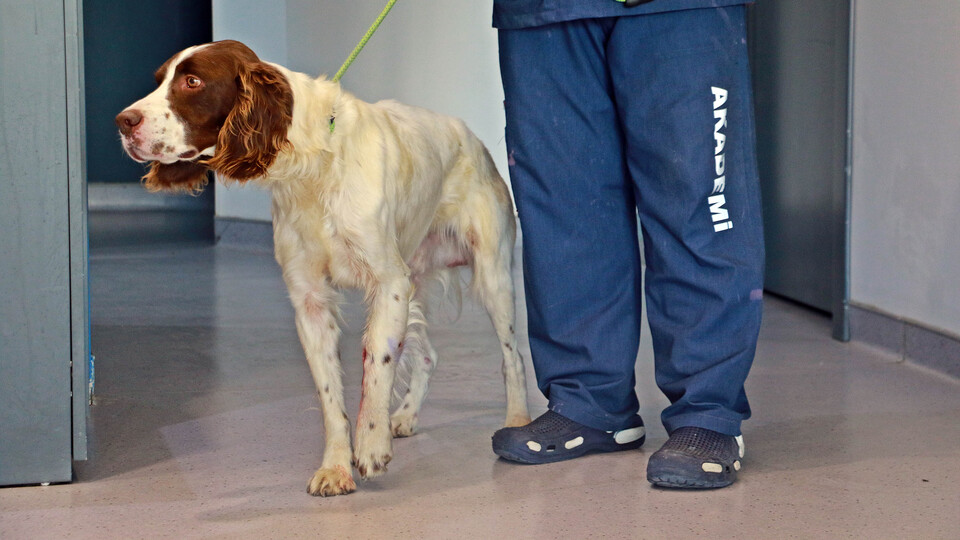 Pamuk'tan sonra bir saldırı da Mars'a!