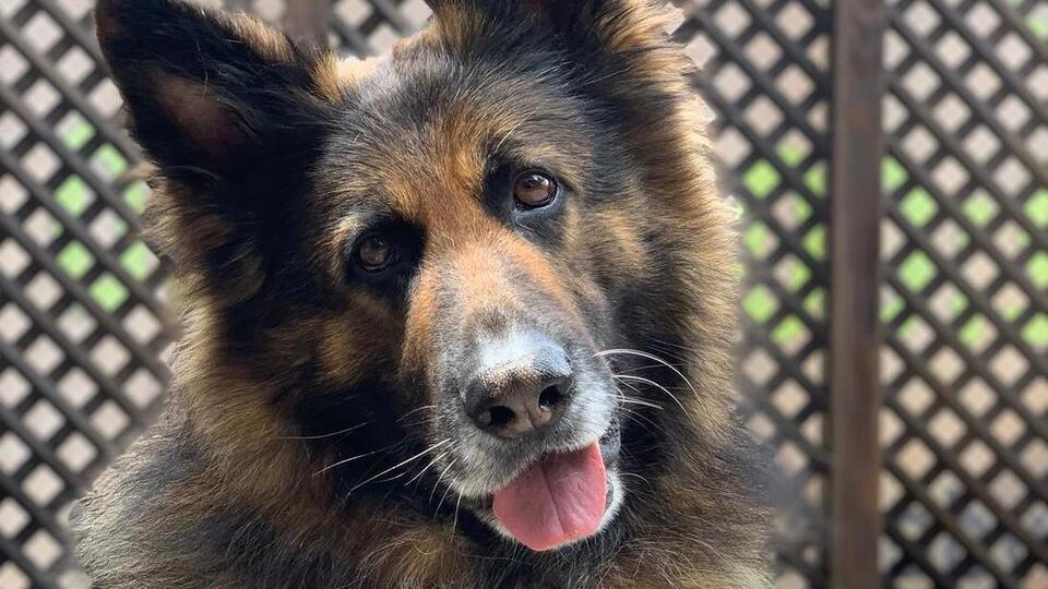 Nero'nun öldürülmesine takipsizlik