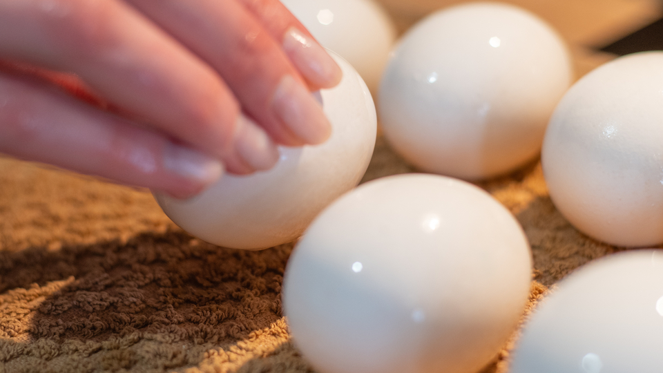 Mutfaktaki seri katile dikkat!