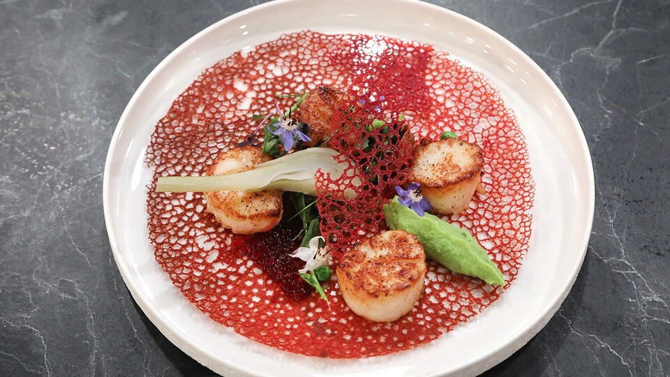 Mercan Resifi nasıl yapılır?