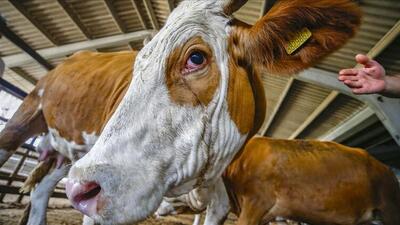 Kurban Bayramı ne zaman 2021