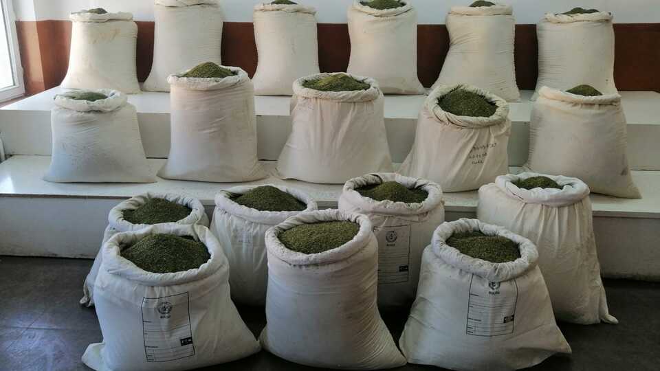 Dört kentte dev uyuşturucu operasyonu!