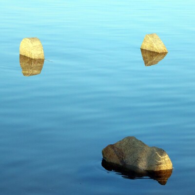 Yıllar sonra tekrar ortaya çıktı