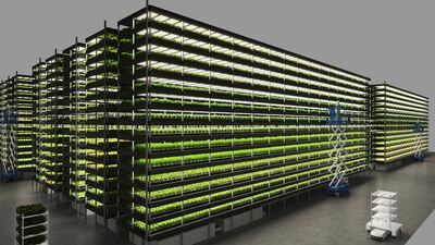 Apartmanı andırıyor... Ne olduğuna inanamayacaksınız!