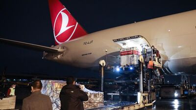 1700 yaşında! Ana vatanına döndü