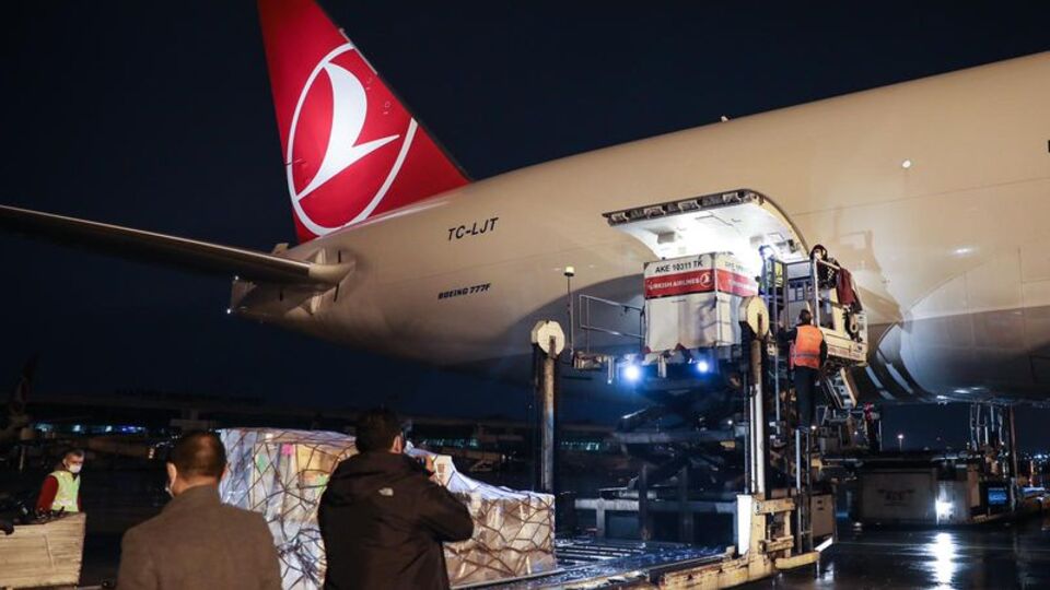 1700 yaşında! Ana vatanına döndü