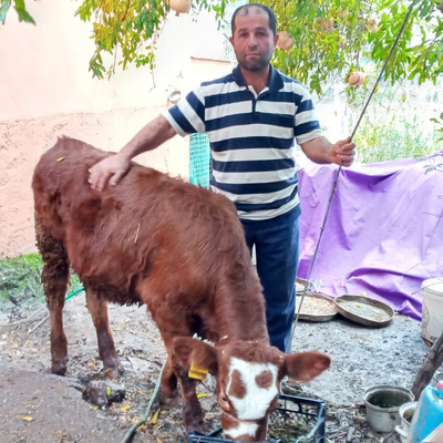 İğrenç olayda şoke eden karar!
