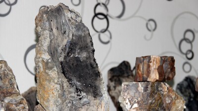 Değerli taş ararken buldu... 160 milyon yıllık!