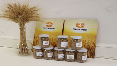 Tekfen Tarım'a yerli ve milli buğday ödülü