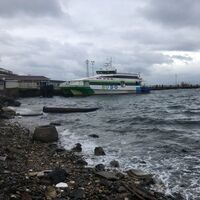 BUDO seferleri iptal!