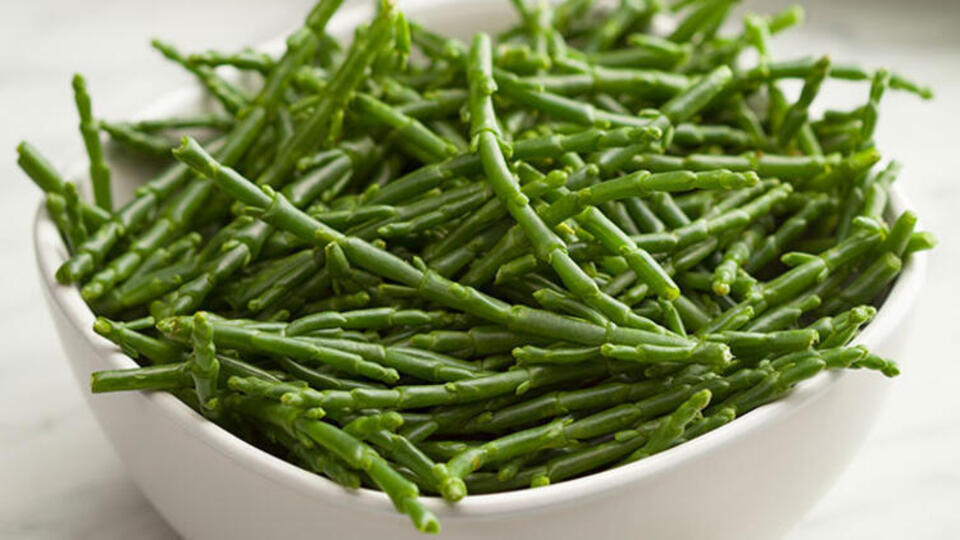 Deniz börülcesinin mucizevi etkileri