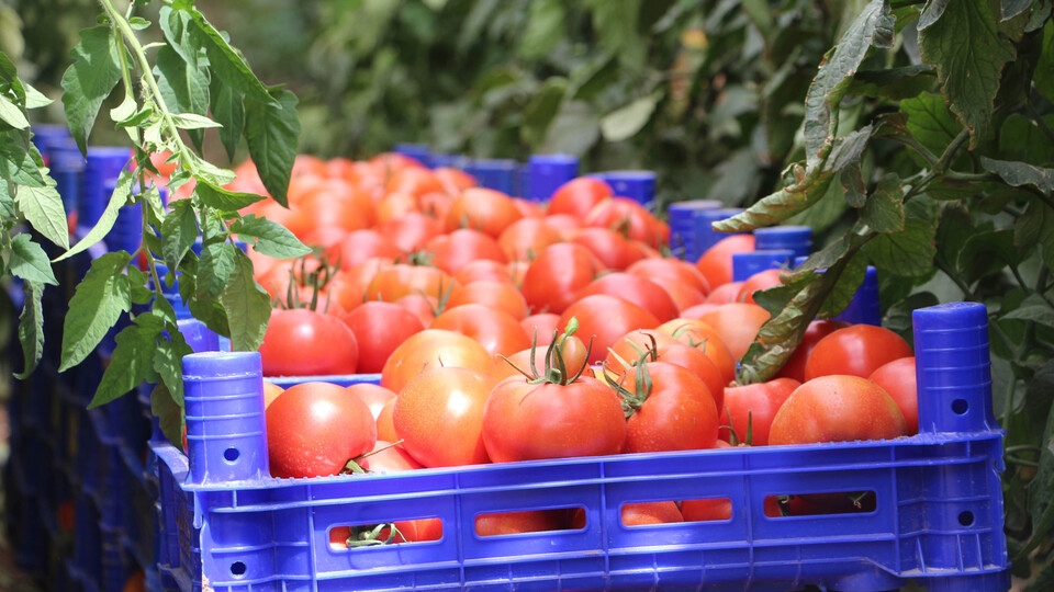Kota kalkacak diye beklerken yasak geldi!