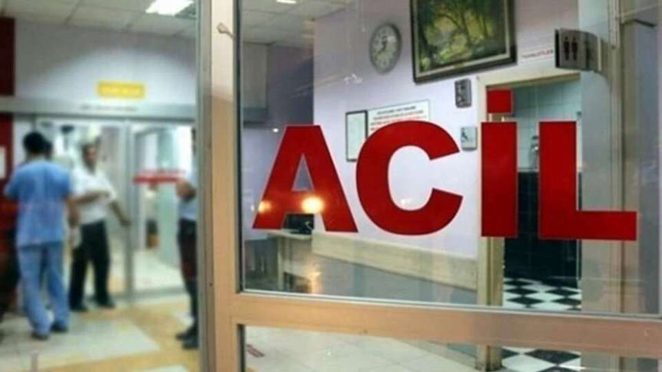 İzinsiz kestiği ağacın altında kalarak can verdi