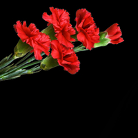 Kahramanlarımızı unutmayacağız