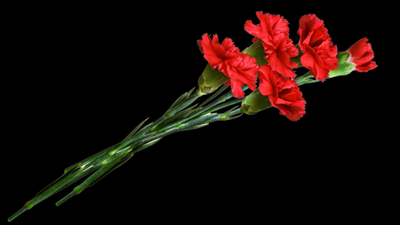 Kahramanlarımızı unutmayacağız