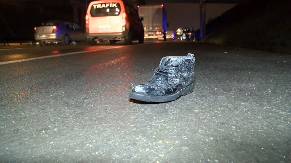 TEM'e giren yayanın feci sonu