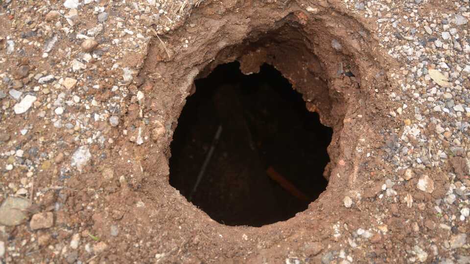 Çocuklar keşfetti... Bölge korumaya alındı