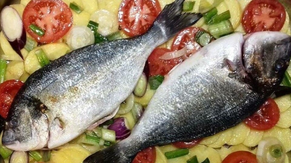 Nefis çipura için pratik tarifler