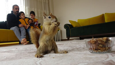 Yavru sincap, ikizlerin neşesi oldu