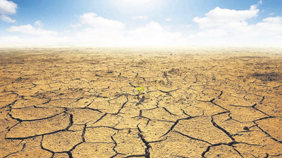 TMO'dan tarımsal kuraklık açıklaması