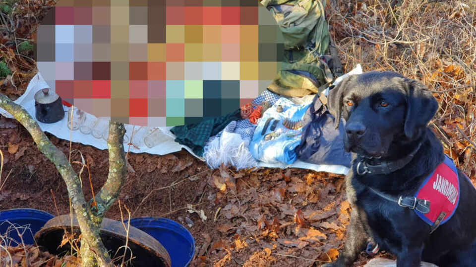 Bingöl'de terör örgütüne darbe