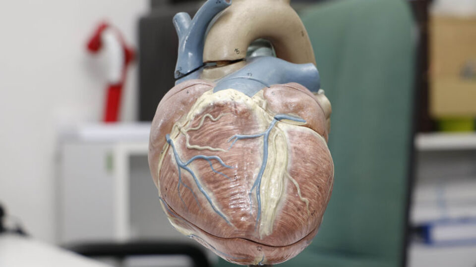 'Koronavirüs, kalp krizini tetikliyor'