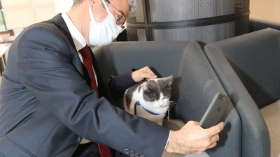 Belediyenin maskotu oldu