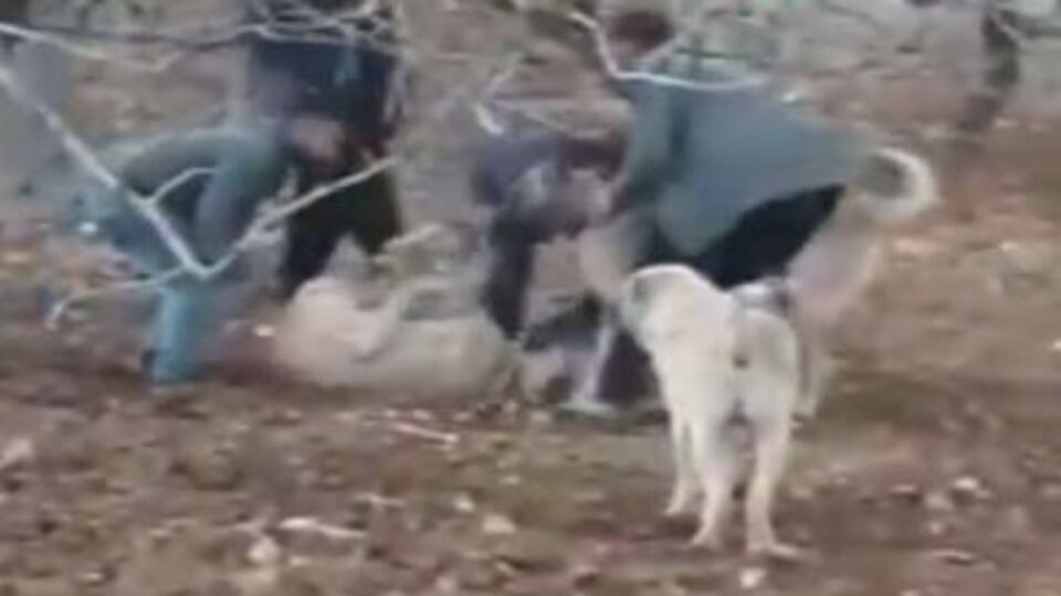 Kameraya yansıdı! Tam bir vahşet!