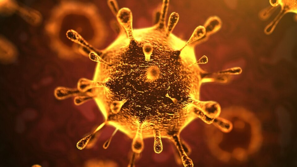 Mutasyonu duyan altına sarıldı