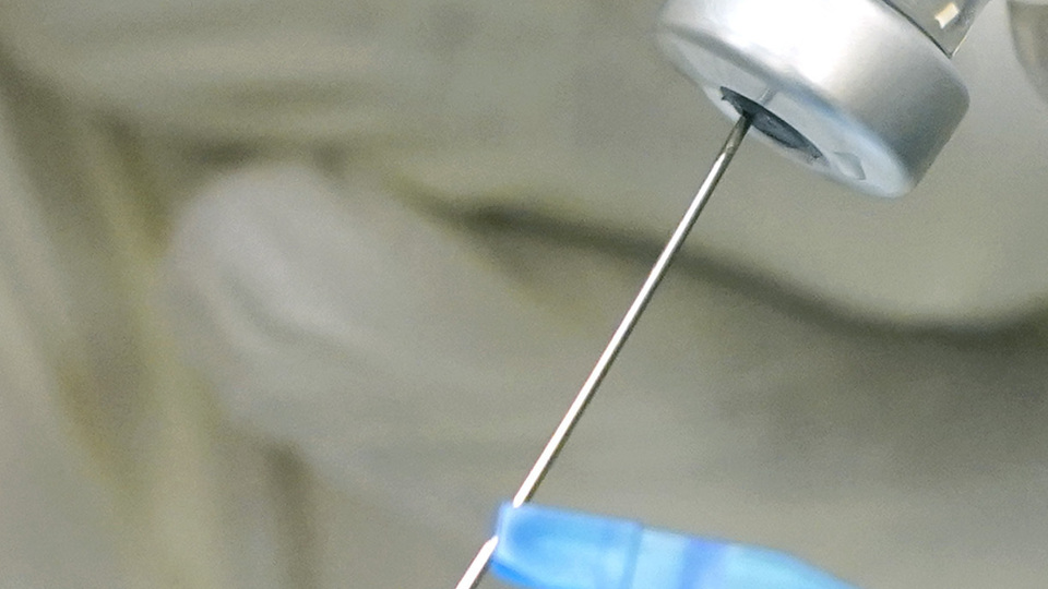 Kritik soru! Virüsün mutasyona uğraması aşı çalışmalarını etkiler mi?