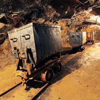 Altın madeninde bulundu... 57 bin yıllık!