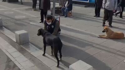 Uşak polisinden sokak hayvanları için anlamlı hareket!