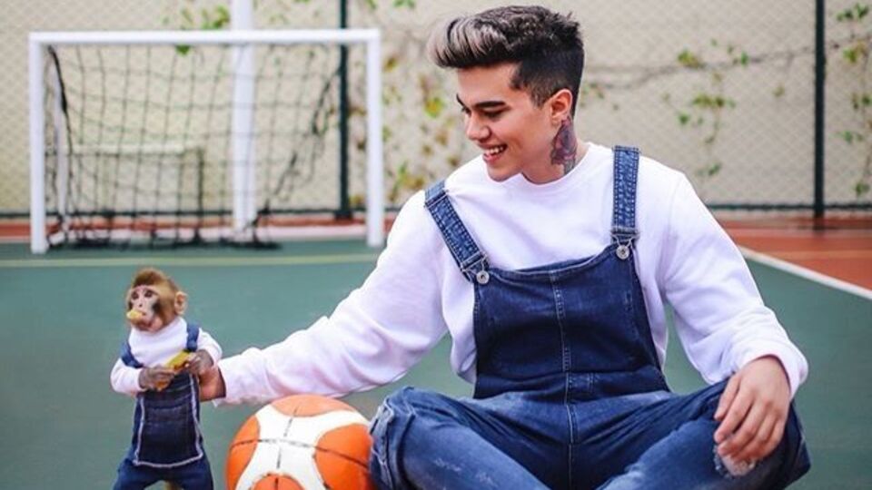 Maymun besleyen fenomene hapis talebi