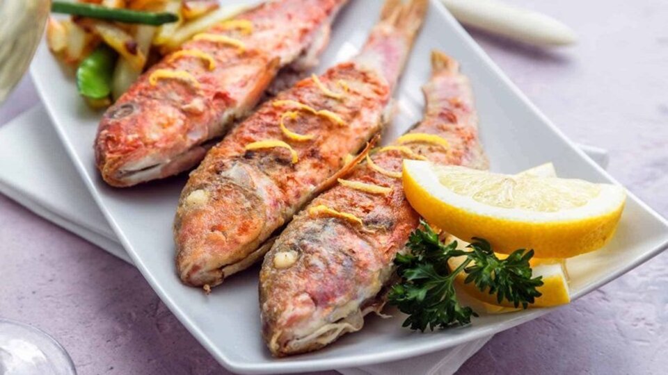 Barbun Balığı nedir?