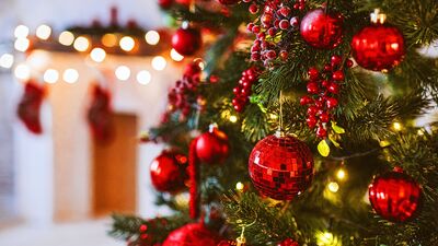 Villa dolandırıcıları iş başında!